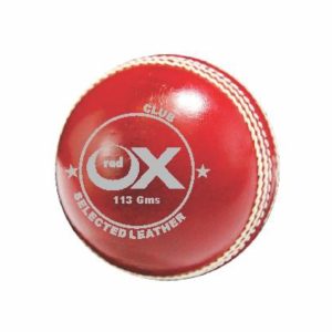 Cricket balls Club Red 2 pc 113g