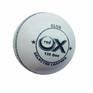 a8a2e5ef-ab29-481f-817b-7a4e43314dcc0451007-17 Cricket balls Club White 2 pc 135g