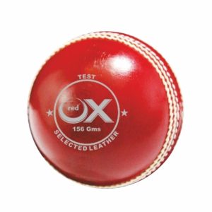 Cricket balls Test 4 pc 156g