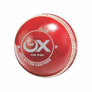 Cricket balls Club Red 2 pc 156g
